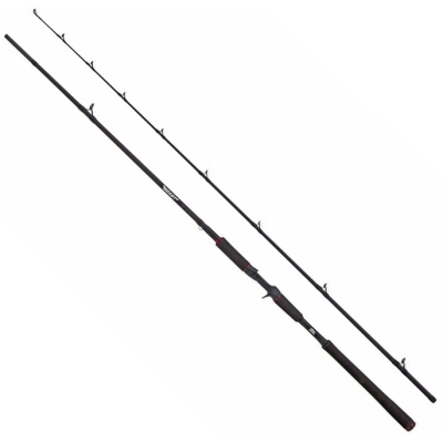 Удилище кастинговое Abu Garcia Beast Pike 862XXH 50-200g