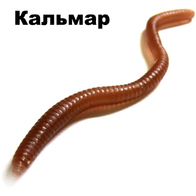 Черви съедобные Garry Angler Worms 30 шт/Squid #Коричневые