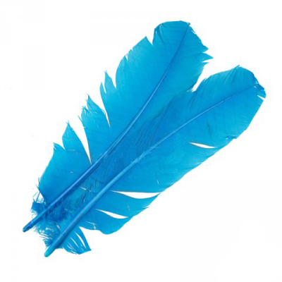 Перья индюка  маховые краш. Veniard Turkey broad Wing Quill Dyed Blue