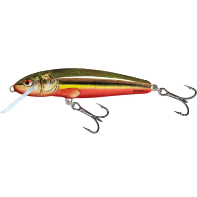 Воблер Salmo Minnow 70F цв. RBD 