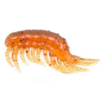 Силиконовая приманка Prizyor Gammarus 1" (25mm) цвет 001 Масло