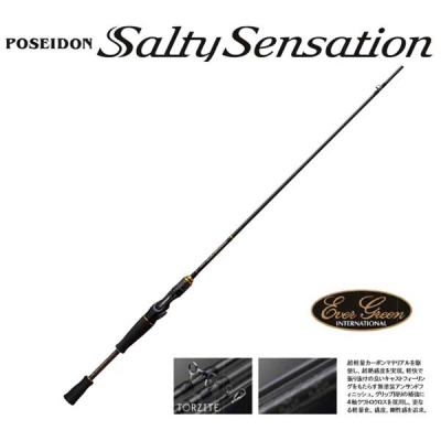 Удилище кастинговое EverGreen Poseidon Salty Sensation PSSC-82T