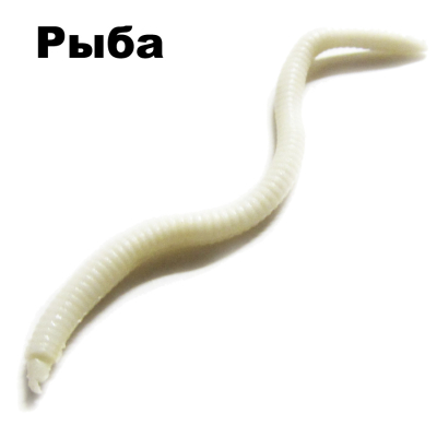 Черви съедобные Garry Angler Worms 30 шт/Fish #Белые