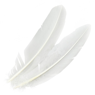 Перья индюка  маховые краш. Veniard Turkey broad Wing Quill Dyed Bleached White