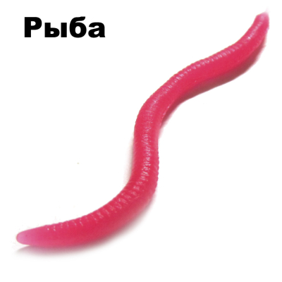 Черви съедобные Garry Angler Worms 30 шт/Fish #Розовые