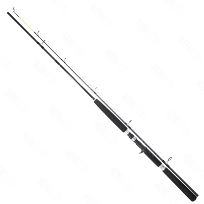 Удилище Team Dragon Silver Edition Pilk Cast 2.81m 100-250g. (27-44-281)