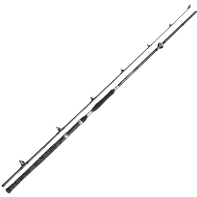 Canne à Pêche PENN Legion Cat Silver Vertical 190 - Blank Carbone 500g, Poignée EVA, Pour Moulinet Fuji, Avec Housse