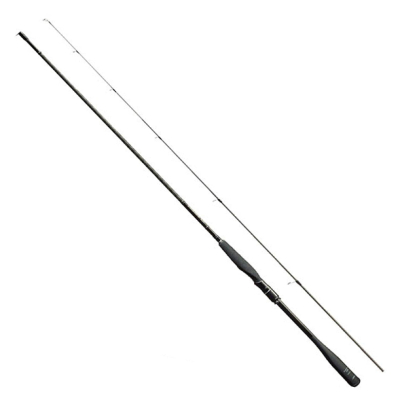 Спиннинг Shimano Exsence Infinity S900MLRF