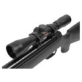Винтовка пневматическая Gamo Big Cat 1250 (переломка, пластик, прицел LC 4x32 WR), кал. 4,5 мм. (3Дж)
