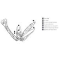 Мультитул Leatherman Skeletool (830920) 100мм 7 функций серебристый карт. коробка