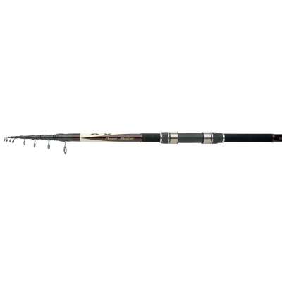 Удилище троллинговое Shimano BeastMaster AX BT Tele 300-100
