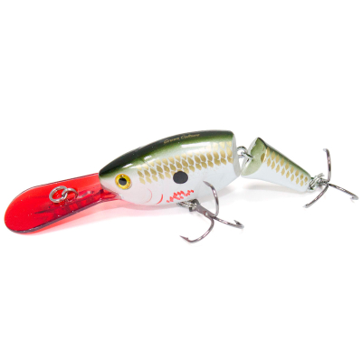 Воблер Grows Culture Jointed Shad Rap UV #05