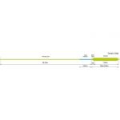 Шнур нахлыстовый Rio Skagit Spey Body (Use with tips) (A) 450gr цв. Yellow/Black Load Zone