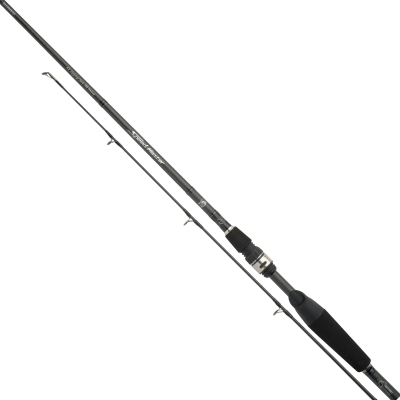 Спиннинг Shimano Speedmaster AX Spinn 300H