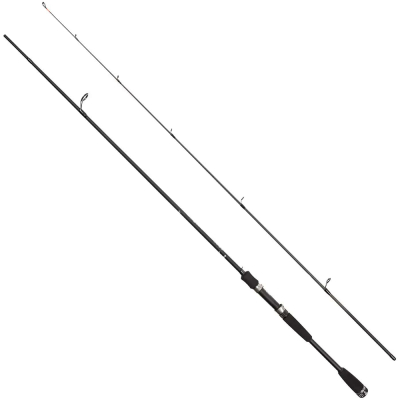 Спиннинг Dayo Saver Fast C.W. 3-10 гр (16105-0310-2,10)