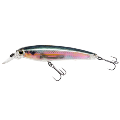 Воблер Yo-Zuri 3DR Minnow (SP) 100mm R1309-RGZS