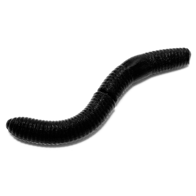 Силиконовая приманка Viva Fish Stretch Worm 2.5" цвет 112