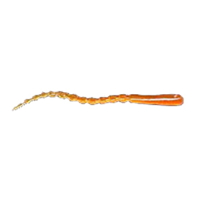 Мягкая приманка Wonder Trout Bait Corethra 7,0 см цв. 012