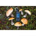 Навигатор Garmin GPSMAP 64st RUS (010-01199-23)