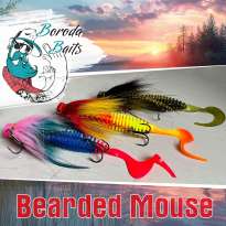 Boroda Baits Bearded Mouse