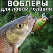 Воблеры для ловли голавля