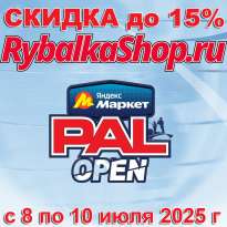 Турнир PAL-2025 стартовал! Спишите воспользоваться скидкой до 15%!