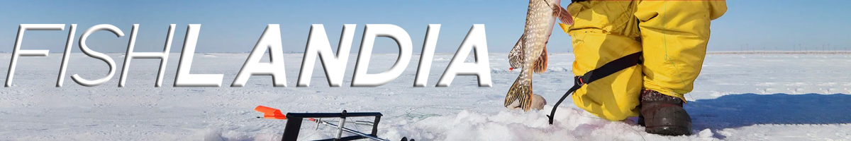 Кивок стальной Fishlandia ДВУХКОНУСНОЙ