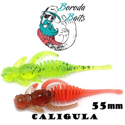 Boroda Baits Caligula