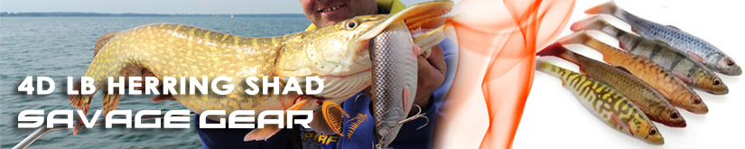 Savage Gear 4D LB Herring Shad 19