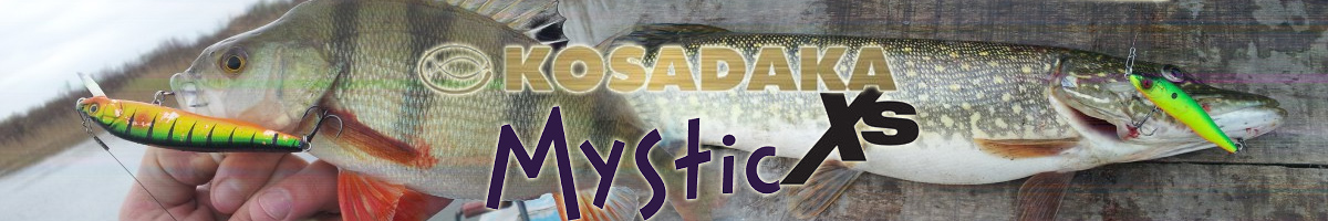 Kosadaka Mystic XS 95F