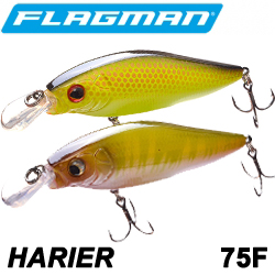 Flagman Harier 75F
