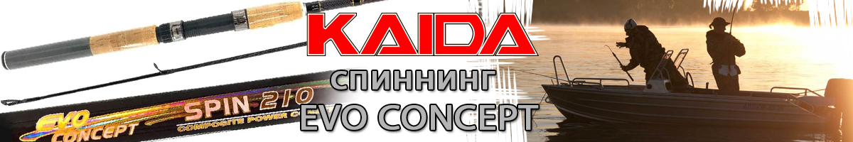 Kaida Evo Concept