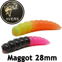 Avers Maggot