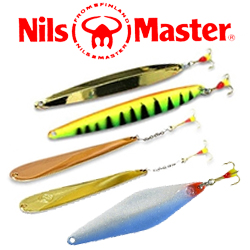 Nils Master