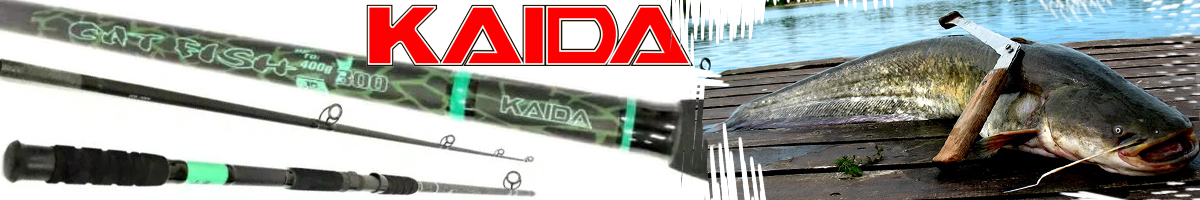 Kaida Catfish