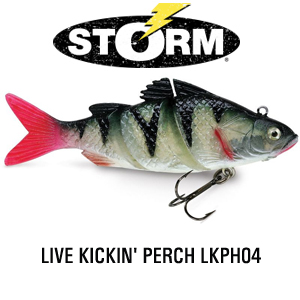Storm Live Kickin' Perch LKPH04