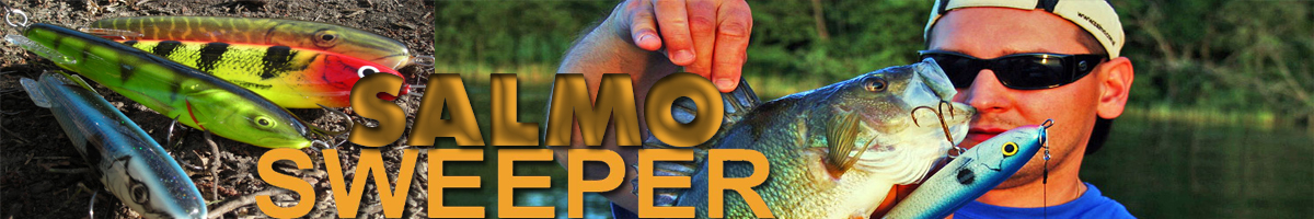 Salmo Sweeper 100S