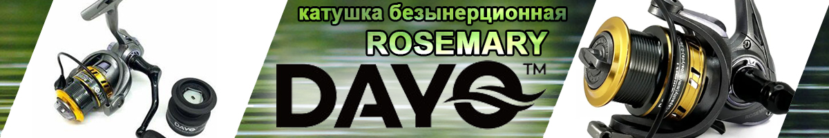 Dayo Rosemary