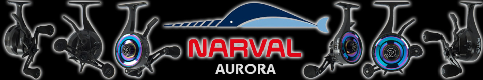 Narval Frost Aurora #Carbon
