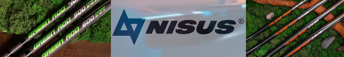 Nisus