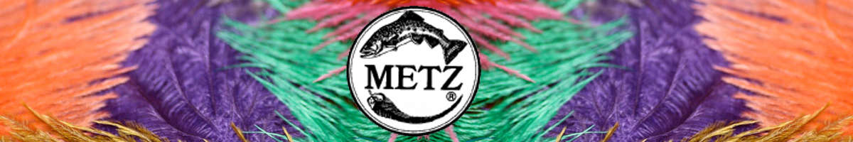 Metz Ostrich