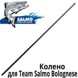 Team Salmo Bolognese 2-е Колено удилища