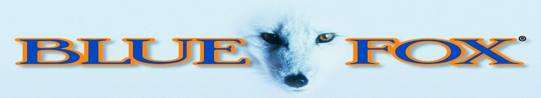 Blue Fox