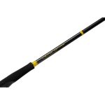 Спиннинг @SnastiZdraste #Porolka Pro 82ML 250cm 5-21g #1.2 Ex.Fast