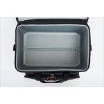 Сумка Daiwa Cool Bag FF28(L) SV