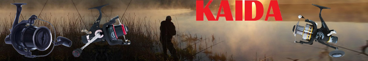Kaida Adn Carp