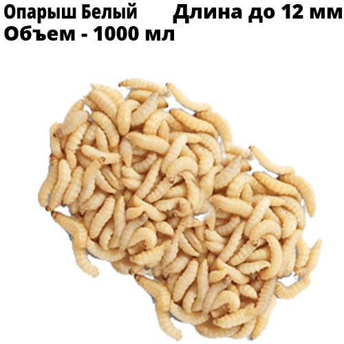 Опарыш Белый Средний 1000 мл