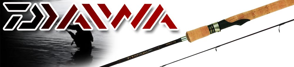 Daiwa Titanium 