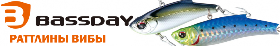 Bassday