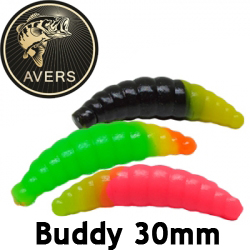 Avers Buddy